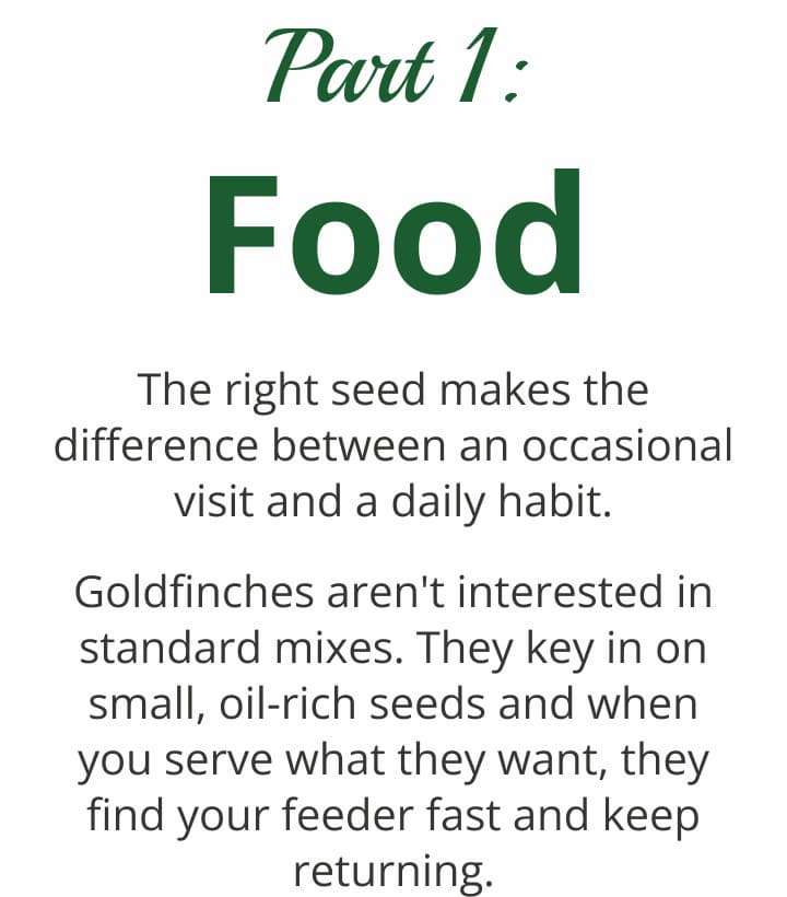 Part 1: Food