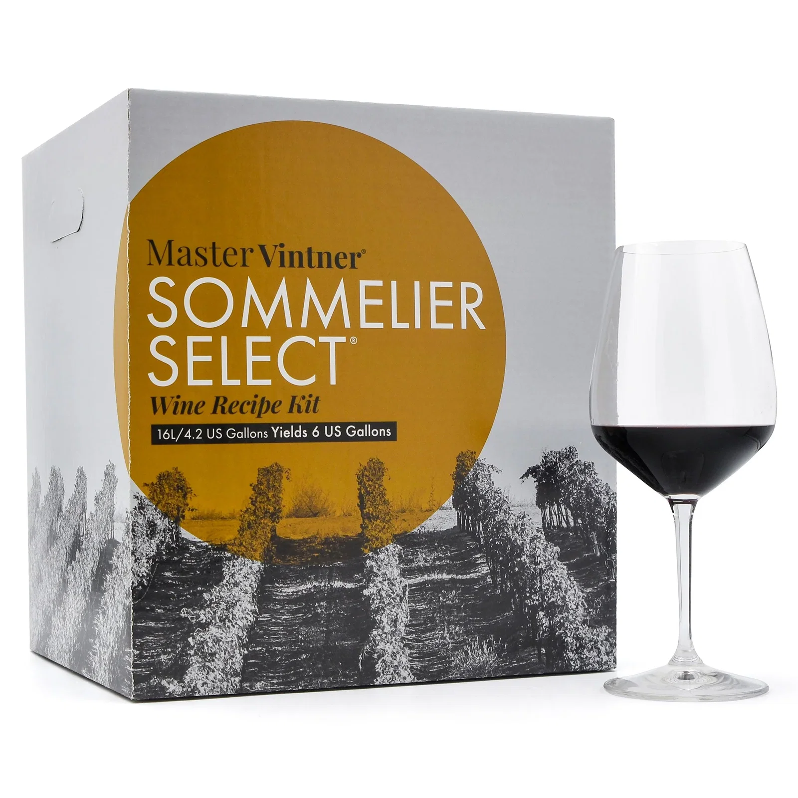 Chilean Malbec Wine Kit - Master Vintner® Sommelier Select®