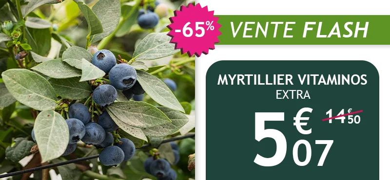 Le Myrtillier Vitaminos est à -65% de remise !