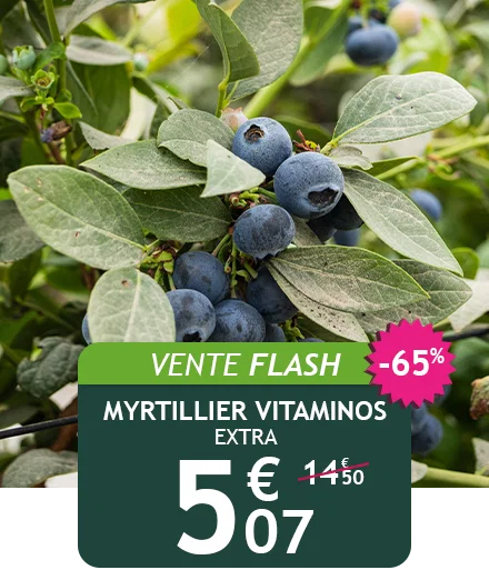 Myrtillier Vitaminos jusqu'à -65% de remise