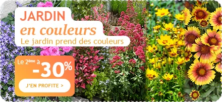 Jardin en couleurs : le 2ème à -30%