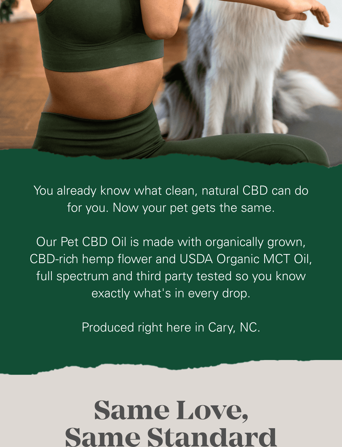 Your Pet Deserves This Too 🐾