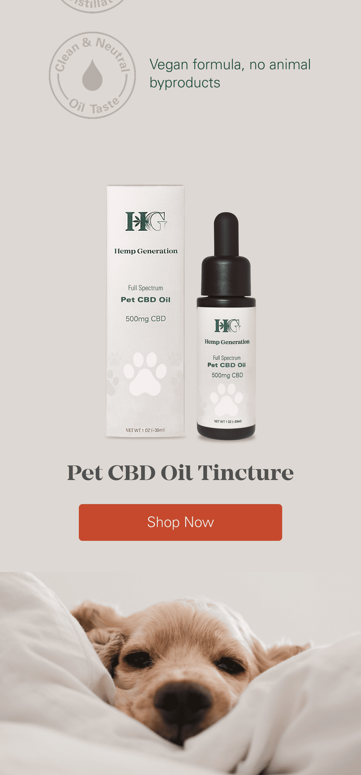 Your Pet Deserves This Too 🐾