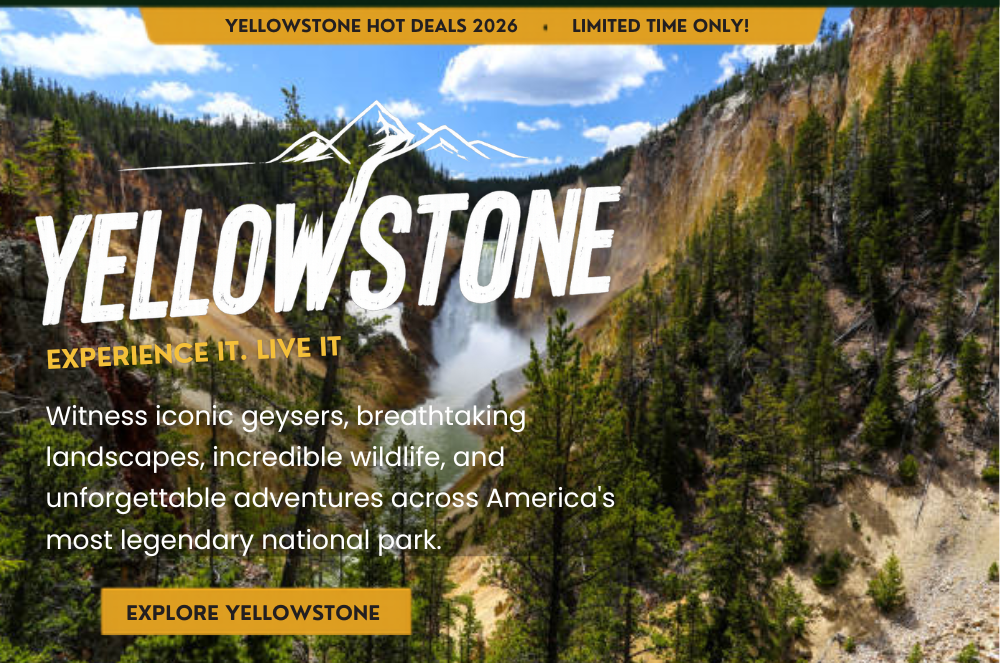 Yellostone - Up to 40% off!
