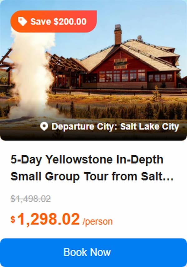 5-Day Yellowstone In-Depth Small Group Tour from Salt Lake City·Yellowstone & Grand Teton, Yellowstone Lake Self-Driving Boat and Yellowstone Bear World 4.8 (73 reviews) Tour Code: 720342