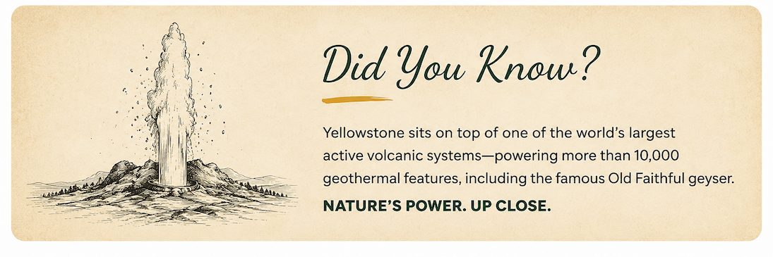 Yellowstone - Up to 50% off!