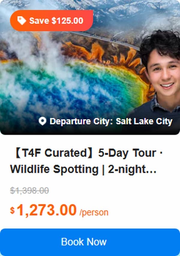【T4F Curated】5-Day Tour · Wildlife Spotting | 2-night Stay at Yellowtone National Park·Ackson Aerial Tram | Grand Teton National Park + Yellowstone National Park + The Great Salt Lake 5.0 Tour Code: 744900