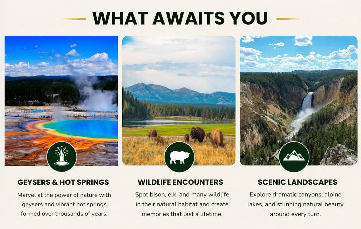 What Awaits You!