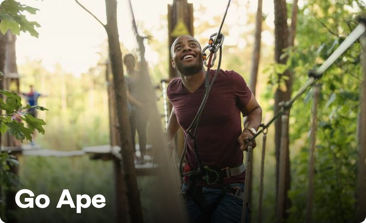 Go Ape 
