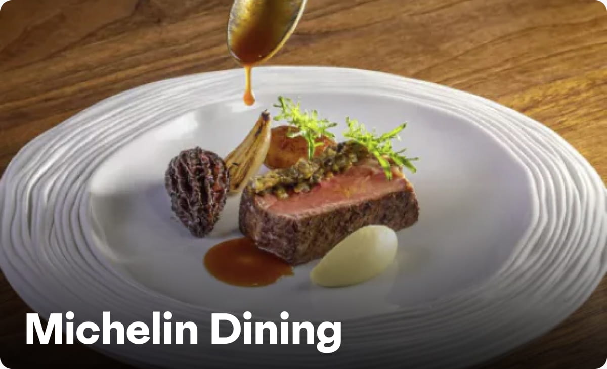 Michelin Dining