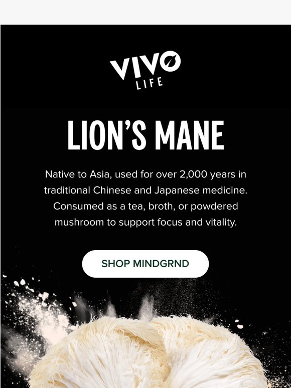 Why Lion’s Mane fuels MINDGRND