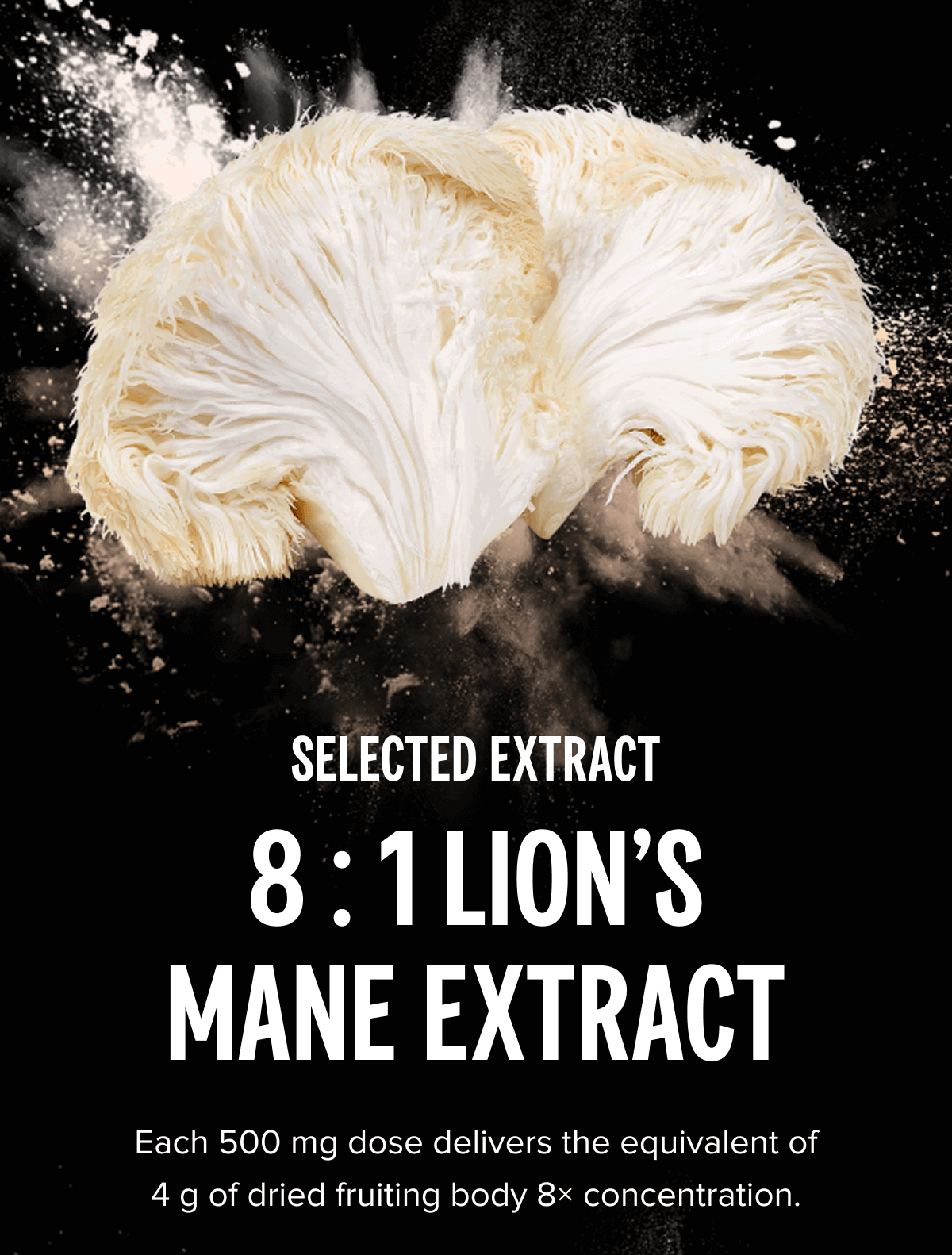 Lion's Mane