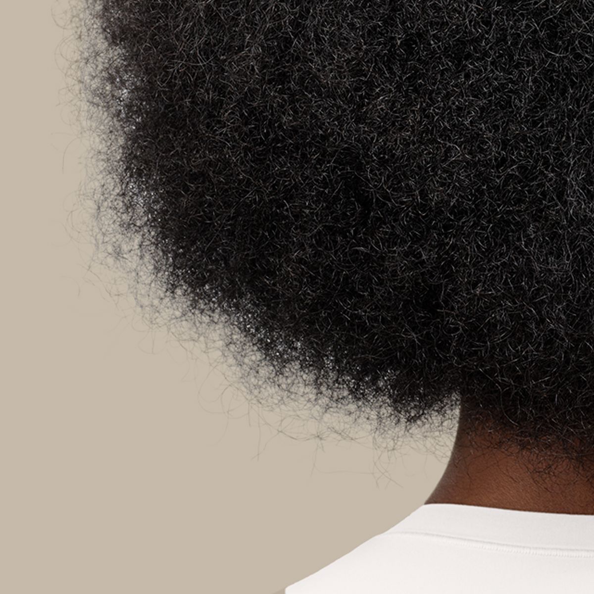 Close-up of dark coily hair.