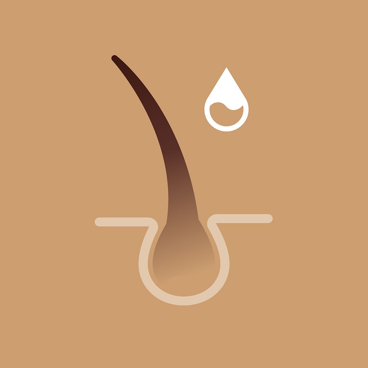 Diagram of a hair follicle swelling with humidity.