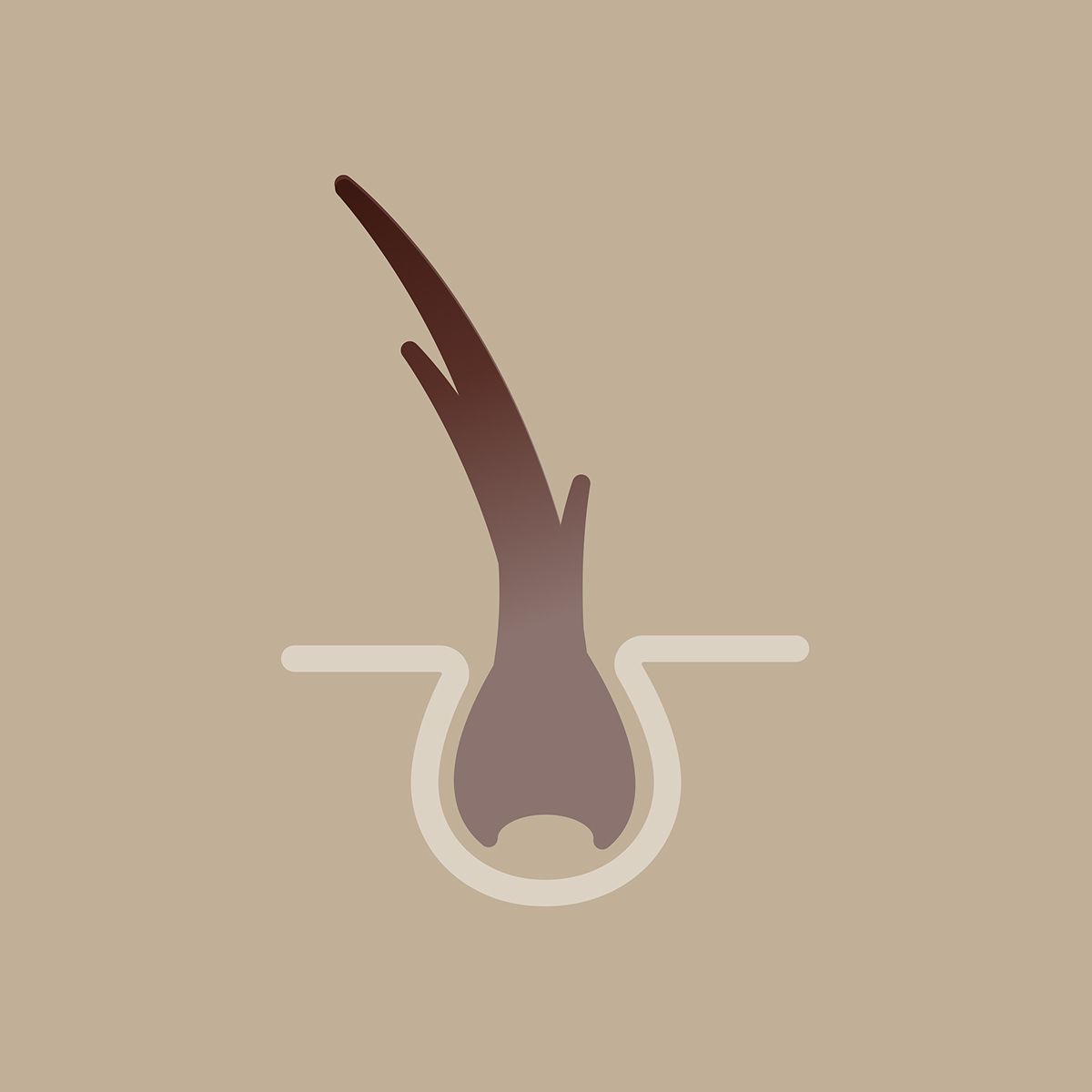 Diagram of brittle, dry hair.