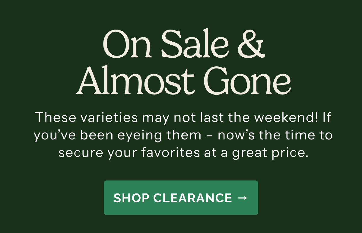 On Sale & Almost Gone – These varieties may not last the weekend! If you've been eyeing them – now's the time to secure your favorites at a great price. SHOP CLEARANCE>>