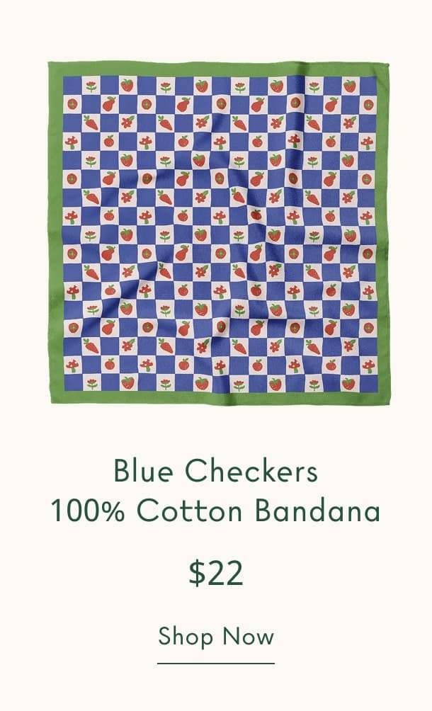 Blue checkers bandana