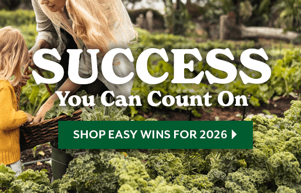 SUCCESS you can count on - shop easy wins