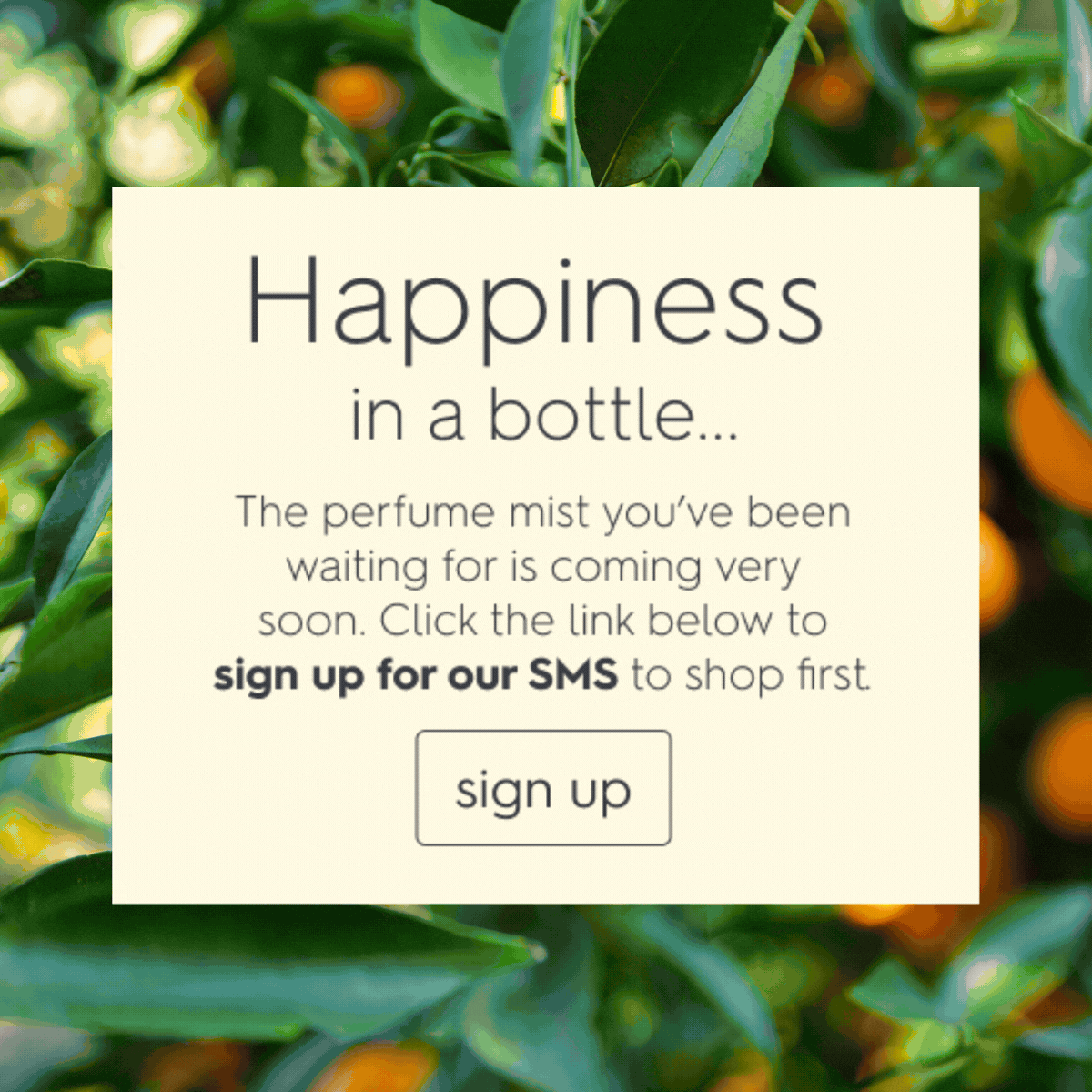  Happiness awaits…