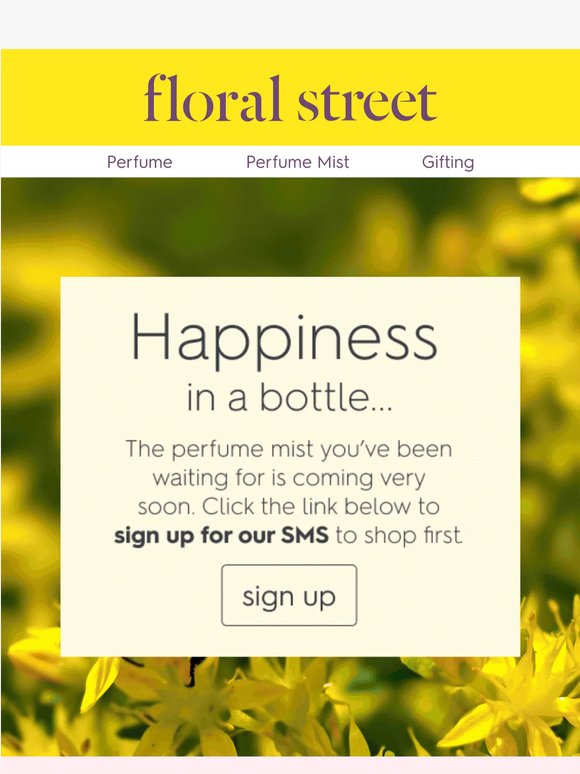 Something new is coming… 🌻