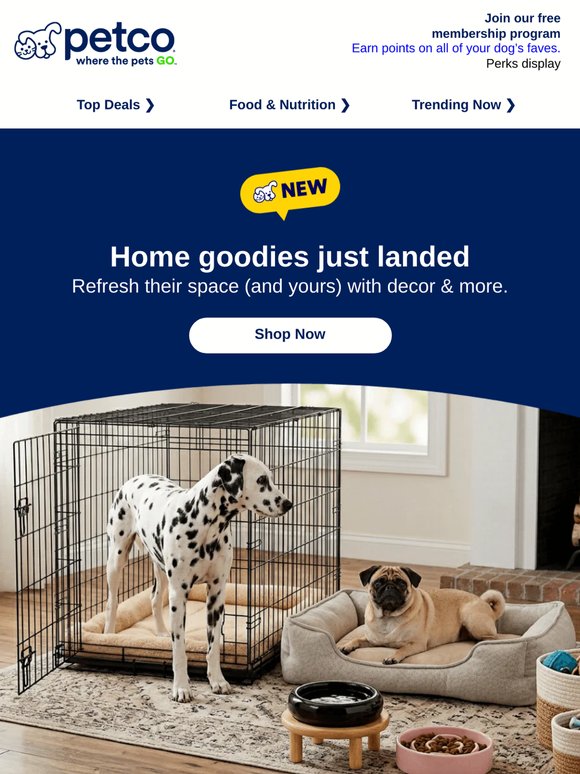 🏠 Ortho beds from $55 + NEW home goodies >>