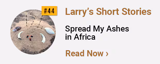 Larrys Short Stories #44