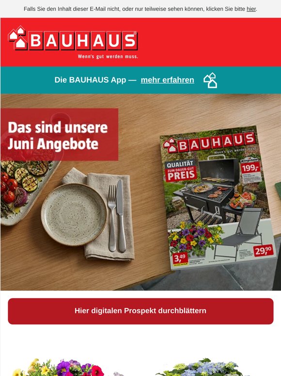 Der neue Juni-Prospekt ist da – jetzt entdecken