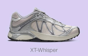 Salomon XT-Whisper Sneakers in Silver/Lunar Rock