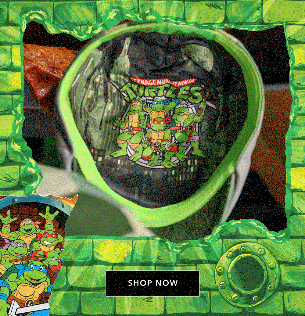 Teenage Mutant Ninja Turtles Shop Now