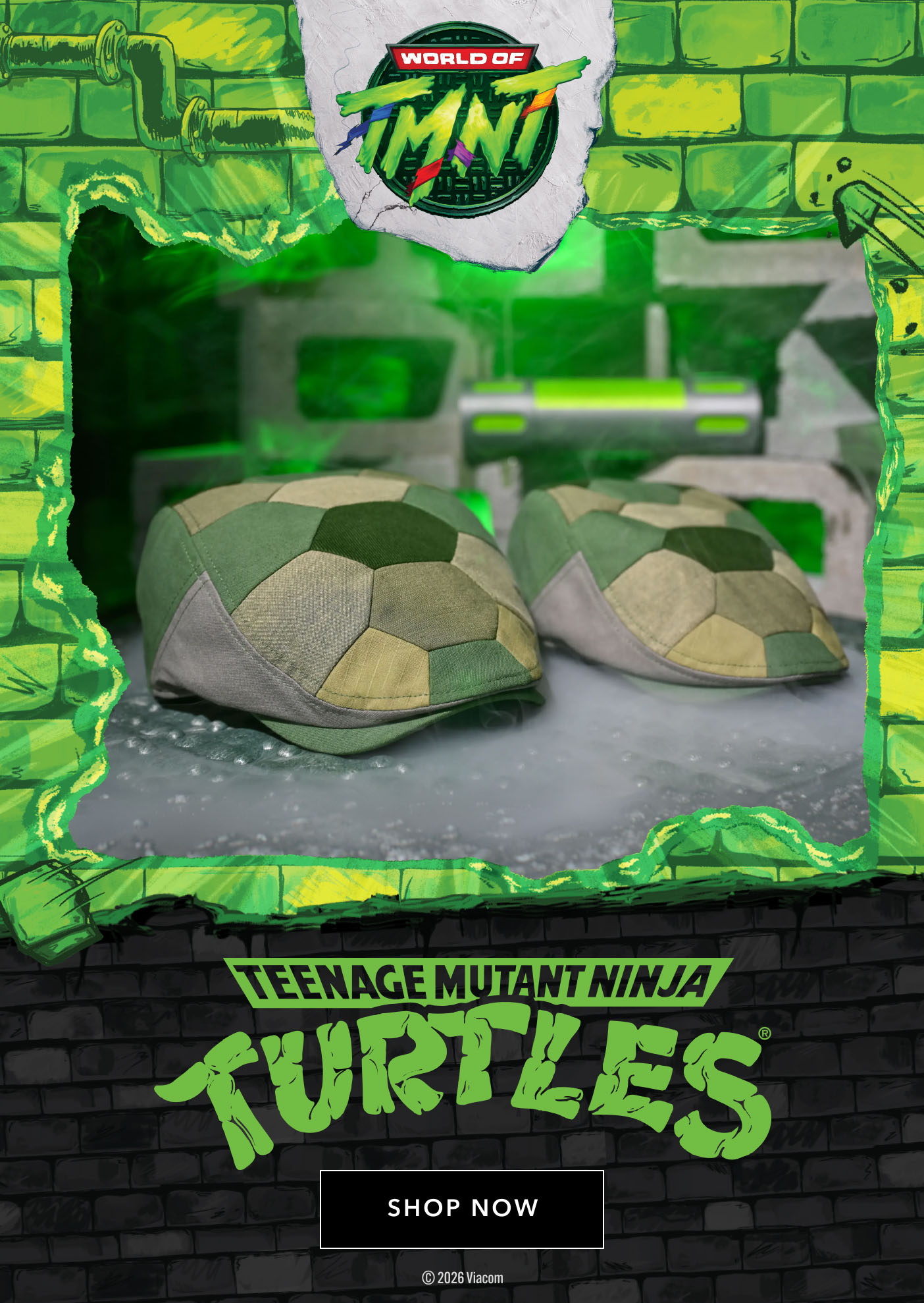Teenage Mutant Ninja Turtles Shop Now