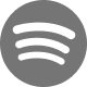 Spotify icon