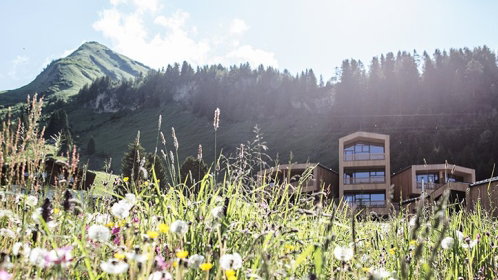 Hotel mitten im grünen mit Bergen