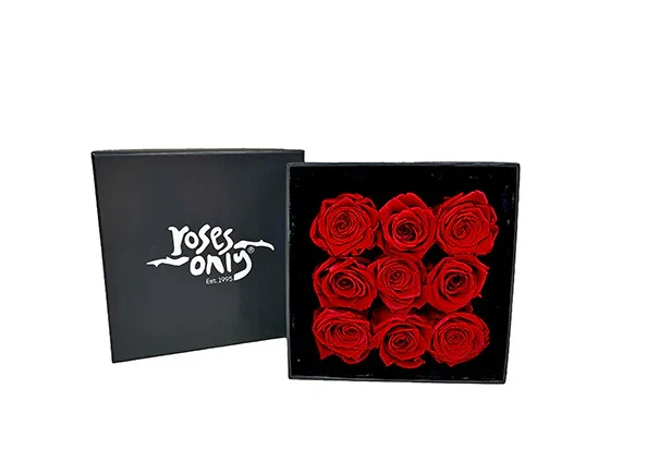 Image of Red Infinity Preserved Roses 9 (ROA13-009)