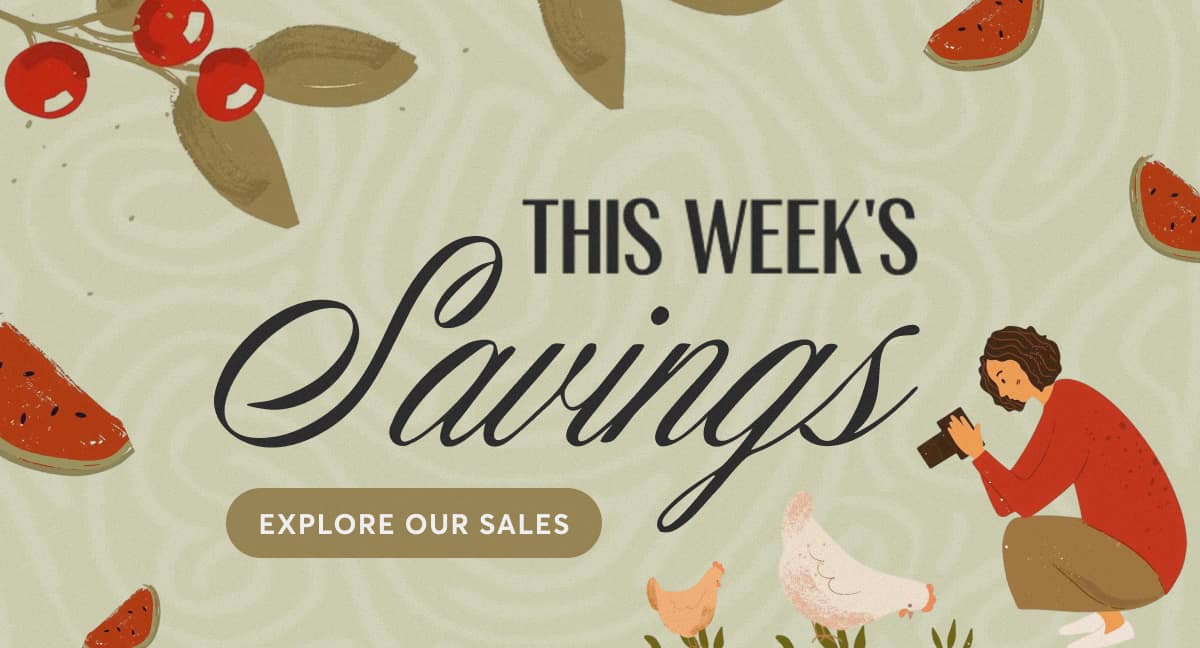 Explore our sales 
