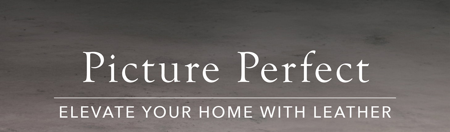 Picture Perfect: Elevate Your Home with Leather