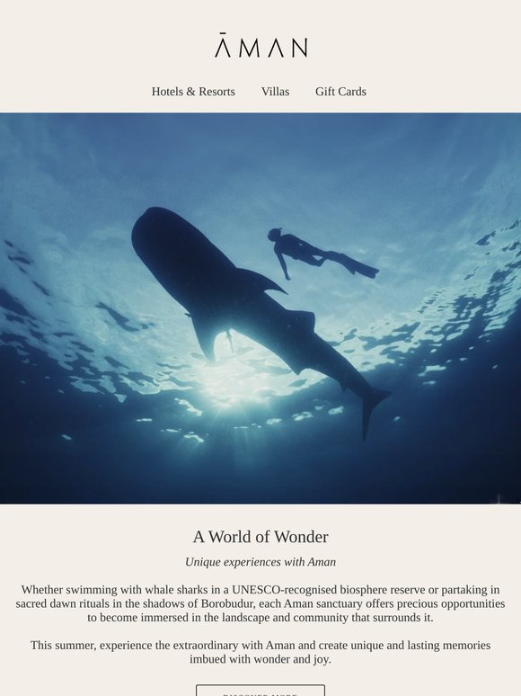 Embrace a Summer of Wonder