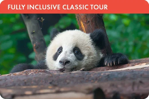 WWT_China_Brochure_EDM_12