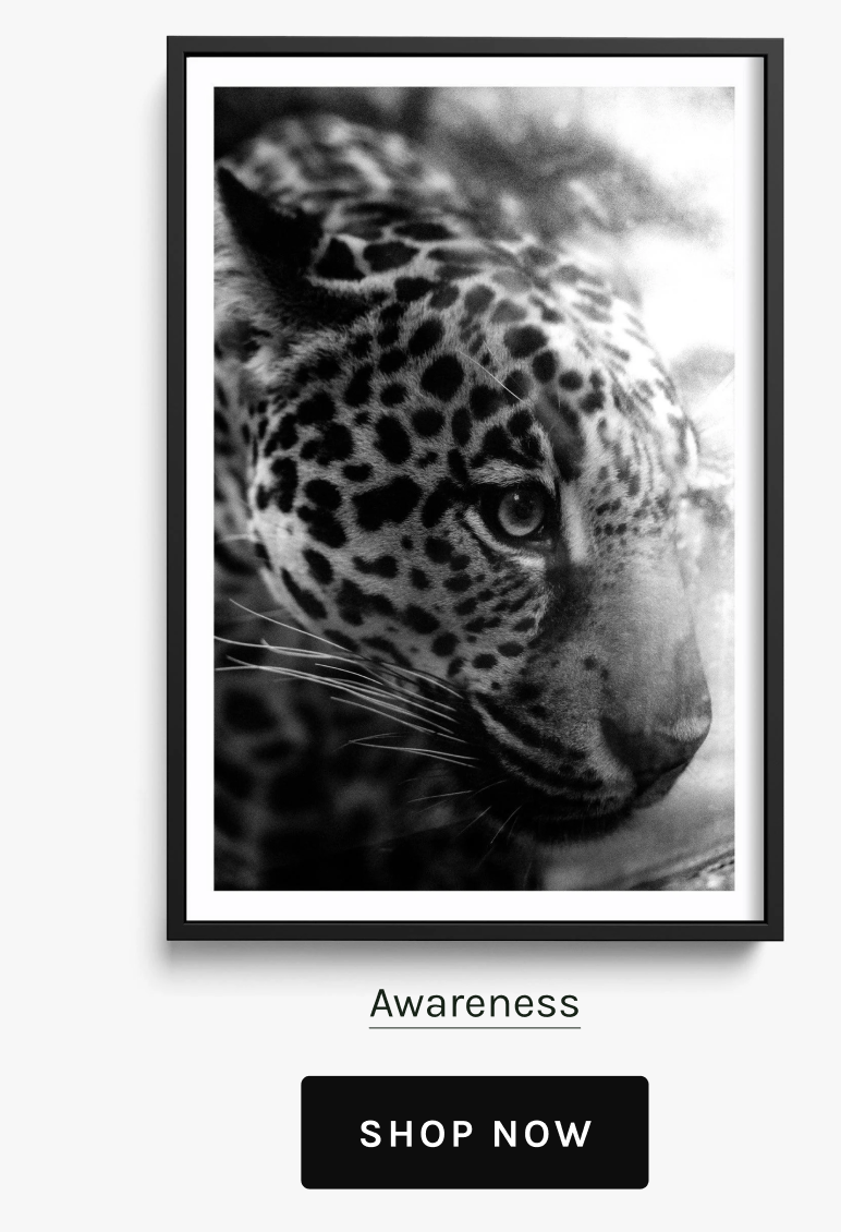 Awareness
