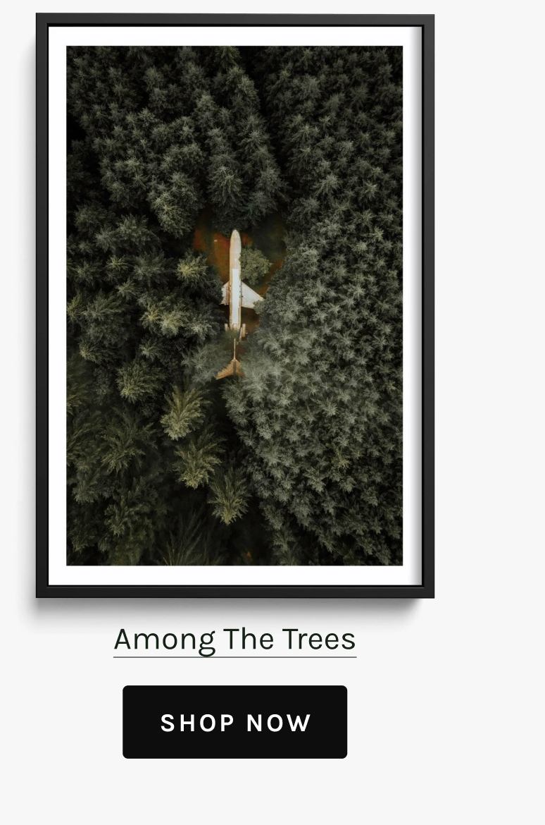 Among The Trees