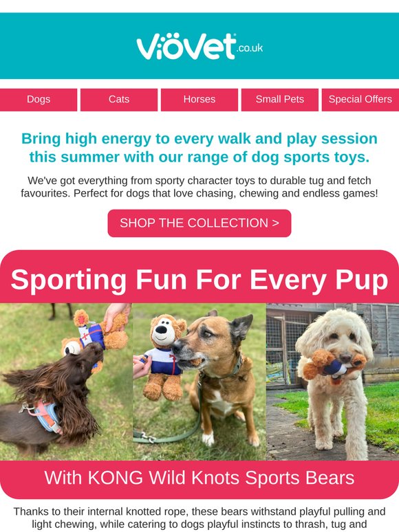 Fetch, tug, chase - sport toys your dog will love!