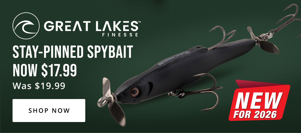 Summer Bass Gear