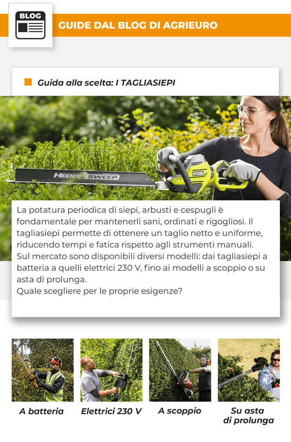 Guida alla scelta: I TAGLIASIEPI