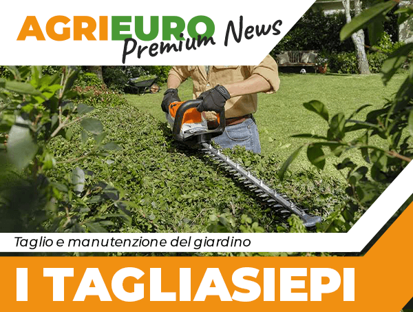 Newsletter: I TAGLIASIEPI