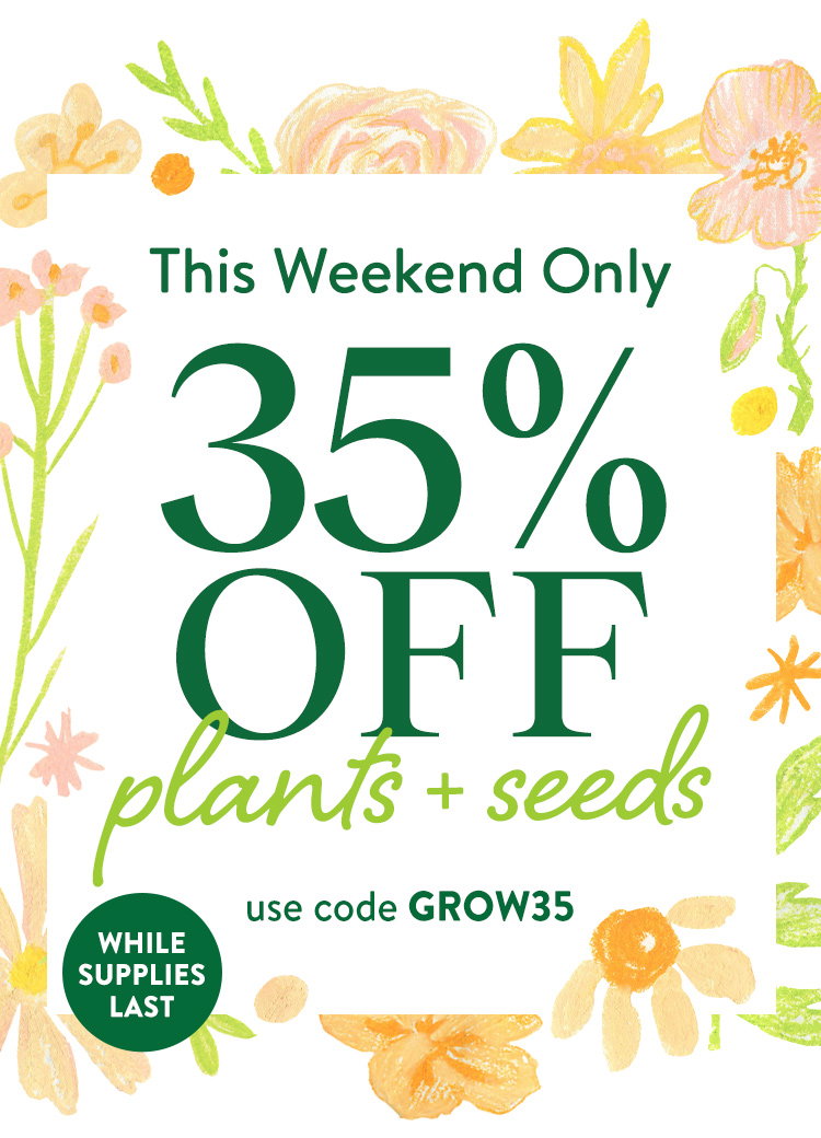 Last Call For Spring Plants