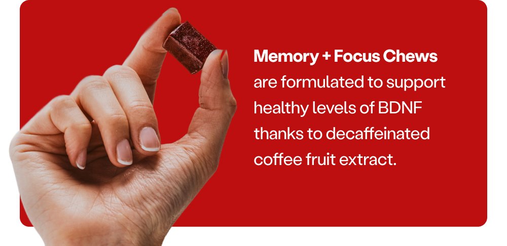 Memory + Focus Chews are formulated to support healthy levels of BDNF thanks to decaffeinated coffee fruit extract.