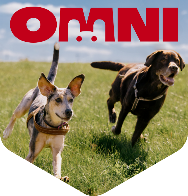 Payday campaign fro OMNI