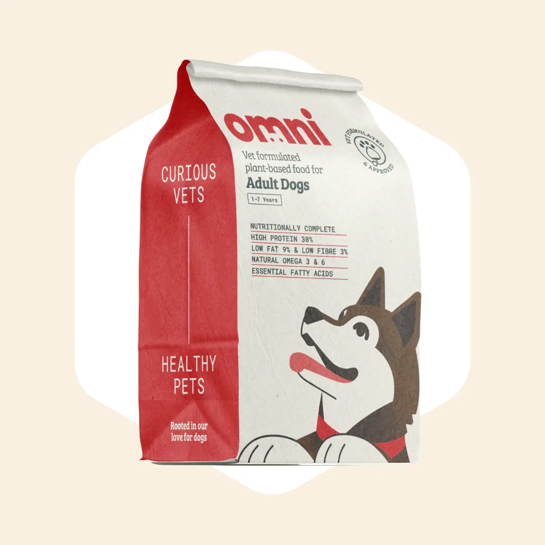 Image of Adult Dry Food
