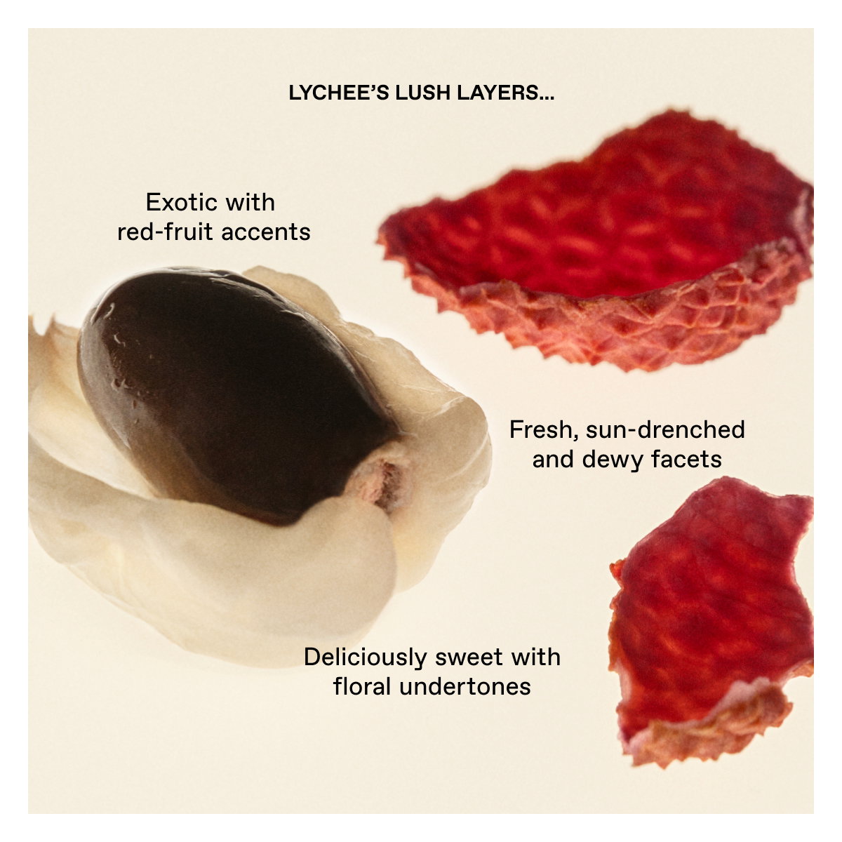 Trending: Lychee. Shop our Ripe scent.