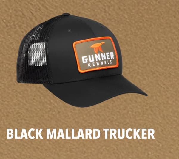 Black Mallard Trucker
