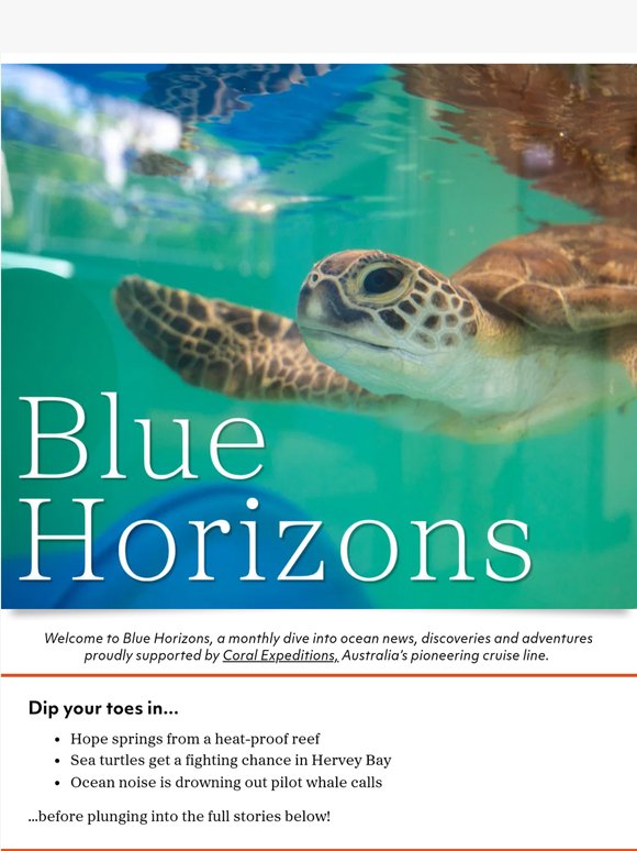 The Aussie reefs that refused to bleach